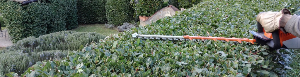 Giardiniere a Firenze: Lapo Bacci si occupa di progettazione, realizzazione e manutenzione di giardini e spazi verdi a Firenze