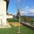 I Giardini di Lapo si occupa di progettazione e realizzazione di impianti di irrigazione a Firenze e Prato