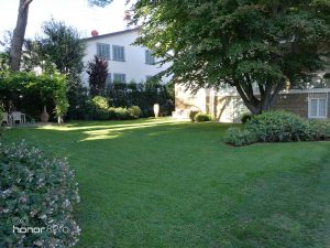 Bonus verde 2018 per giardini e terrazze a Firenze