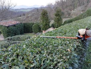 I giardini di Lapo di Lapo Bacci giardiniere a Firenze e Prato1