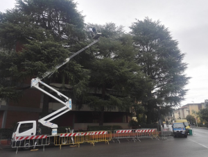 I giardini di Lapo di Lapo Bacci giardiniere a Firenze e Prato7