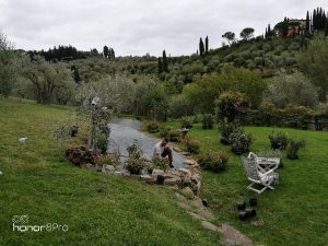 A Firenze e Prato realizzazione giardini da sogno: affidati a Lapo Bacci per fare la scelta più intelligente nella creazione del tuo spazio verde