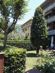 potatura alberi a Firenze