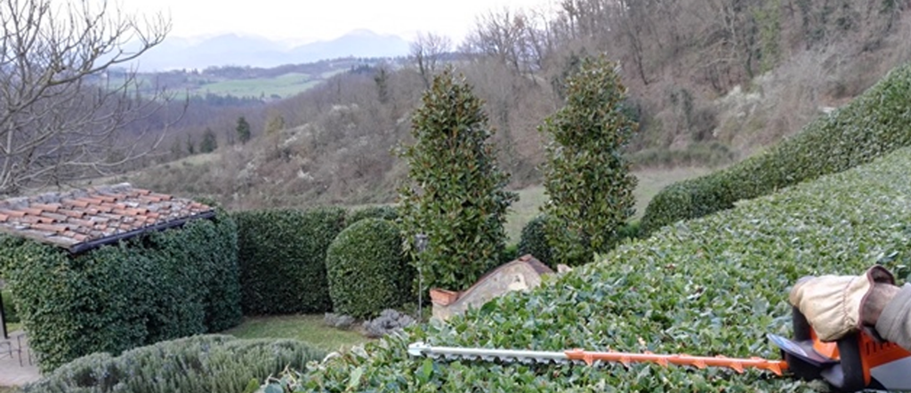 I Giardini di Lapo sono a disposizione per un contratto di manutenzione delle aree verdi condominiali