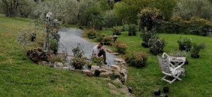 Lapo Bacci è esperto giardiniere a Firenze. Si occupa di progettazione, realizzazione e manutenzione di giardini e spazi verdi. A disposizione per sopralluoghi e preventivi gratuiti.