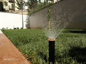 Impianto irrigazione giardino Firenze: affidati a Lapo Bacci, esperto giardiniere. Si prenderà cura di tutte le fasi, dalla progettazione alla realizzazione.