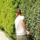 Giardiniere a Firenze, Lapo Bacci si occupa di progettazione spazi verdi, manutenzione giardini, realizzazione impianti di irrigazione e molto altro.
