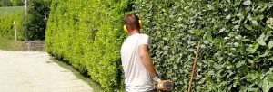 Se stai cercando un giardiniere professionista a Firenze contatta I Giardini di Lapo. Sopralluogo in tempi rapidi e preventivo gratuito.
