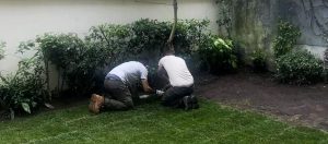 Realizzazione giardini a Firenze: affidati a Lapo Bacci per fare la scelta più intelligente nella creazione del tuo spazio verde