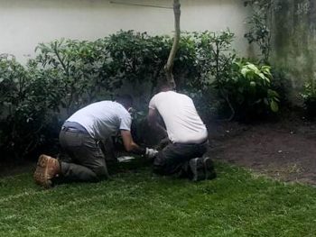 Realizzazione giardini a Firenze: affidati a Lapo Bacci per fare la scelta più intelligente nella creazione del tuo spazio verde