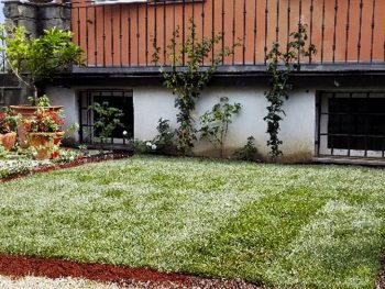 Realizzazione e manutenzione di tappeti erbosi a Firenze. Affidati a I Giardini di Lapo per progetare il tuo spazio verde. Richiedi un preventivo gratuito.
