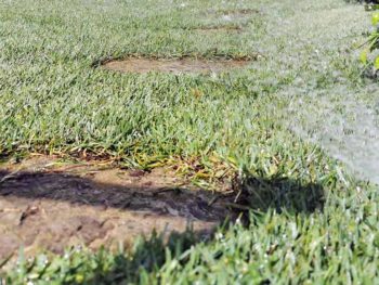 I Giardini di Lapo è specializzato nella realizzazione di impianti di irrigazione giardino