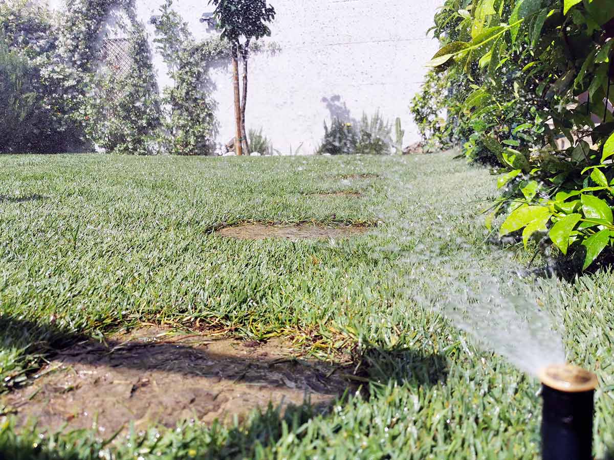 Realizzazione impianti irrigazione giardino a Firenze