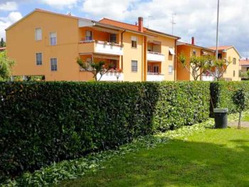 Giardini di Lapo si occupa di potatura alberi