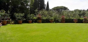 I Giardini di Lapo si occupa di progettazione e realizzazione giardini