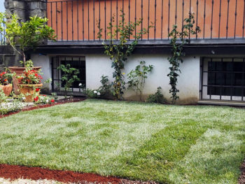 Realizzazione e manutenzione di tappeti erbosi a Firenze. Affidati a I Giardini di Lapo per progetare il tuo spazio verde. Richiedi un preventivo gratuito.