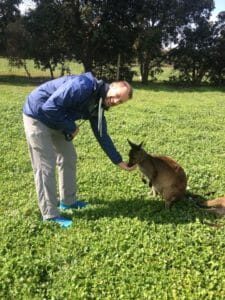 Lapo Bacci, Giardiniere a Firenze