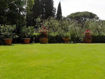 I Giardini di Lapo si occupa di progettazione e realizzazione giardini e spazi verdi a Firenze ed in Toscana. Servizi di manutenzione programmata.