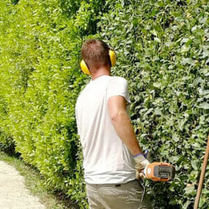 Lapo Bacci Giardiniere a Firenze